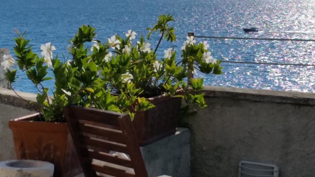 Le Sirene Bed and Breakfast Tellaro Exteriör bild